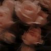 smouse_120511