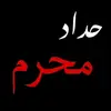 haider_al_ali2
