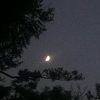 just3_malak9