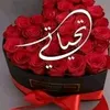 user5213579316128