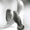 _habiba_jannat_7