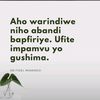 uwiturijevestine3