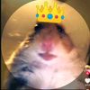 hsjsel_hamster