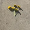 fromblog8