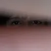 lei_12.0