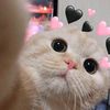rahmanataa_