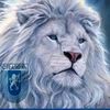 constantincampean0