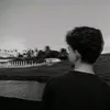LS_2008