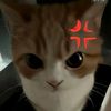 snjiy_10