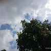 ibnuabi29