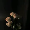amali.nnnm45