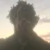 sharkscantlistentobladee