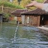 sewavila_kotabatu