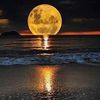 jair_577