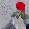 saroo.al