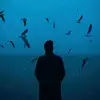 argar_29
