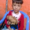 phatluongtien