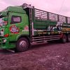 sumarnomenyun6