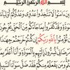 user8351978711033