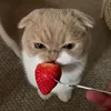 wwwwww_nr_