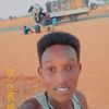 altory20