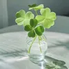 adcbmhkuiogkkghjjigl4