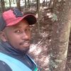davidkimari67