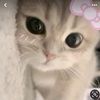 user6nwjeiei5