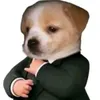 peterdepzai5