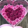 user1213254011379