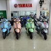 Udin Yamaha