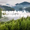 romaniadinimamea