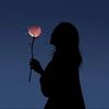 amina.chou.sow