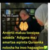 user9157538153852edapsan