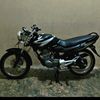 aldy_11okee