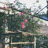 08_th4_05