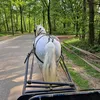 horselovers946
