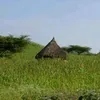 kurbaneyob