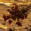 www.user.de2