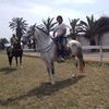 miguelsandoval7457