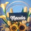 mercedes9261392323