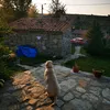 danicabas56