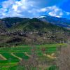 naveed_ul_hq_07