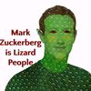 lizard.person_