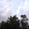 user8240199572251