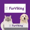 furvikinguk