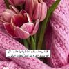 زهراء