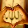 user4017051570904