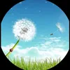 nguyn.nhn0045