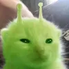 _oy2lg